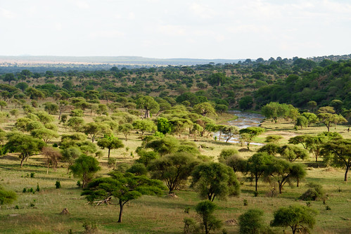 sony safari tarangire sel18200 a6300 manyararegion tanzania tz