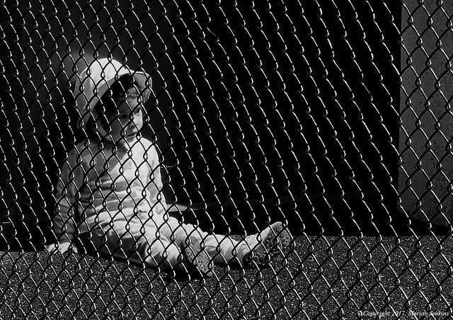 Fenced In/CoF049