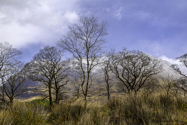 Scenic natural beauty in Glen Coe, Scottish Highlands, Scotland, United Kingdom