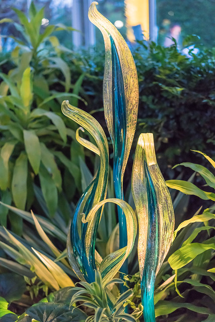 Chihuly's Plants and Glass