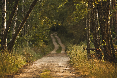 path | by Bucka Stone