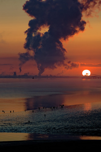 fog vapour estuary humber clouds seascape dawn sunrise sun sky water river hull kingston mud seagulls feeding turbines cooling towers backlight jetty bouy