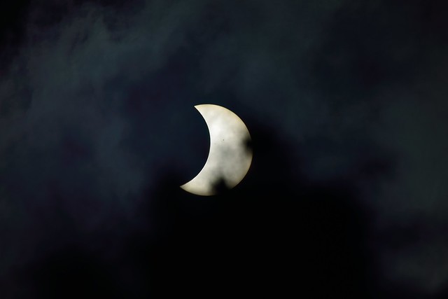 Central Texas Partial Eclipse through clouds and leaves