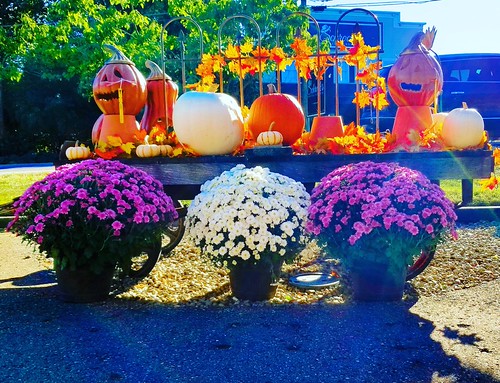 Fall is here! | by Edale614