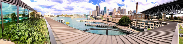 View over The Rocks and Circular Quay from the Park Hyatt Hotel Pool Deck, Sydney