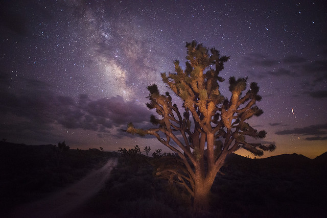 Mojave Milky Way