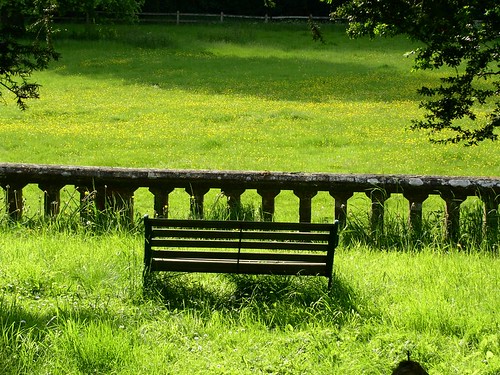 walk 10 View from Chawton churchyard in May 