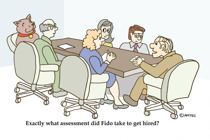 Assessment - Interview | A cartoon about assessment and inte… | Flickr