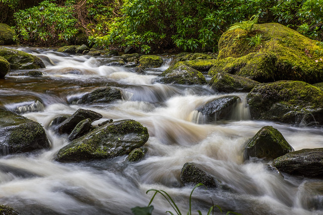 Watercourse Killarney Nationalpark