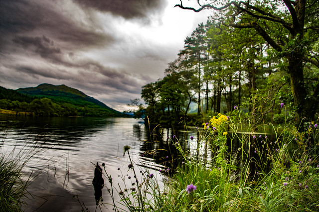 Solitude Loch Eck 02