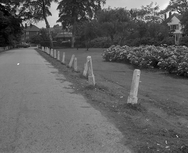 Negative No: 1963-DN.1165 - Negatives Book Entry: 08-07-1963_Highways_Private Streetworks_Stumps at Henly's Princess Parkway_Duplicate Negative Number