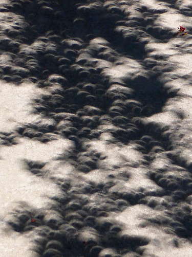 Dapplled Eclipse | by arbyreed