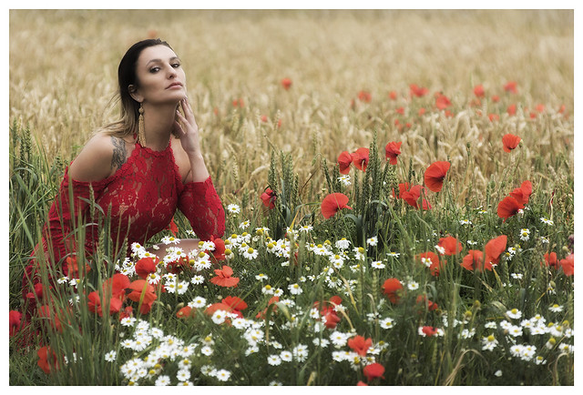 Karina, That Red Dress and Poppies