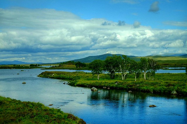 Killarney National Park ( Ireland )