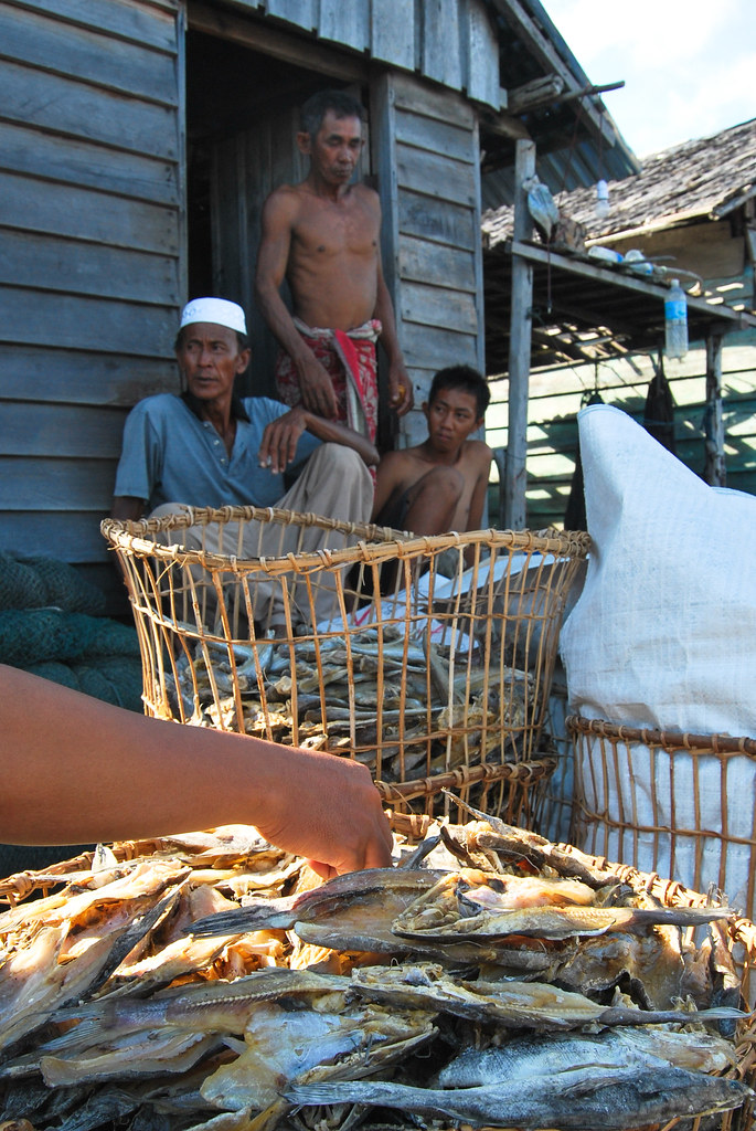 Sorting through the daily catch to sell at the market. Lake Sentarum, West Kalimantan, Indonesia.
