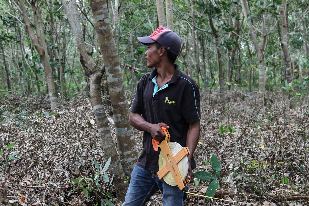 CIFOR researchers mark an area for monitoring in a rubber plantation in Riau. The site of formerly degraded peatland is...