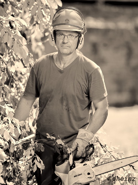 Gardener with Chainsaw No. 3