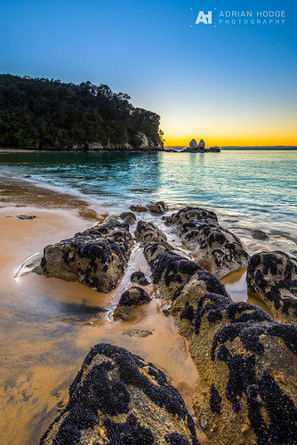 seascape beach sunrise seaside rocks nelson mussels seashore kaiteriteri goldenhour splitapplerock goldensand tasmannz