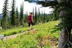 Marlena hiking past the wildflowers