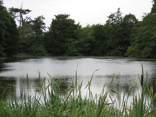 lake in woburn park 