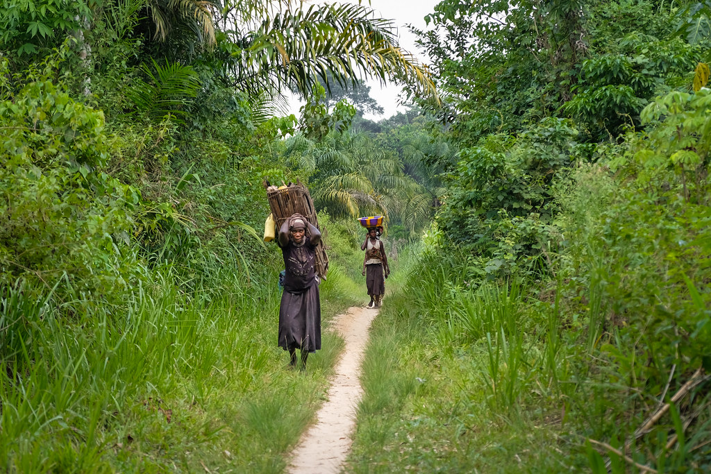 Woman carrying wood, Yangole, DRC.