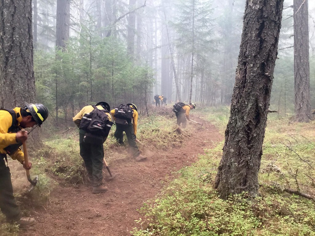 Imperial Forestry Type 2 Crew digging line, Umpqua National Forest on Sunday, Aug. 20, 2017. Meredith Childs, Alaska Interagency Incident Management Team