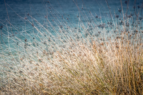 20170826-premantura194.jpg | by christine thormählen