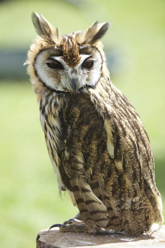 file_3456x5184_043267 | by mikeculley591