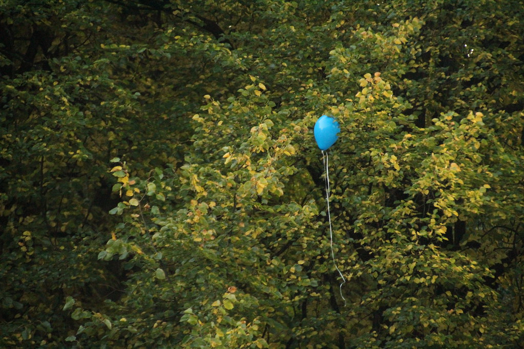 Helium Ballon On The Branches Of Tree Master Krzych Flickr helium-ballon-on-the-branches-of-tree-master-krzych-flickr