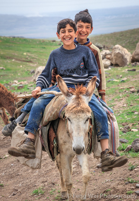 Boys & Donkeys @ Alem Village, Kars, Turkey - a photo on Flickriver