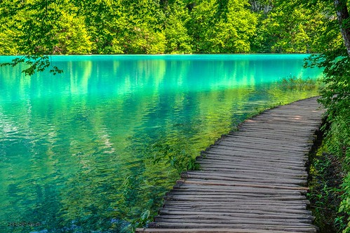 plitvice lakes croatia water forest spring nature landscape green stream trees hdr view tranquility colors jezera hrvatska jezero voda drvo landmark scenic touristdestination tourism lika balkan plitvicelakesnationalpark pond waterfall cascade emerald background path