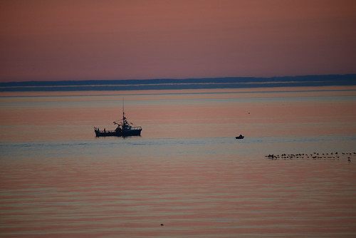 Matane by jean.duc18, 