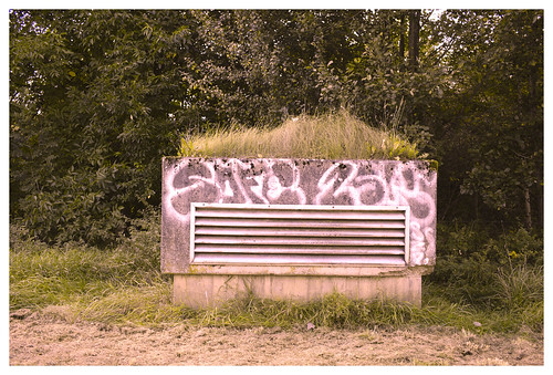 color urban streetart art grass arlon belgium belgique graffiti tag