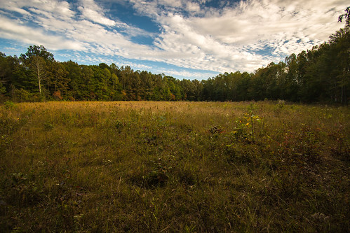 hazeldellmeadownaturepreserve kentucky meadow highlandrimwetbarren grass field grassland wetland thenatureconservancy tree sky forest