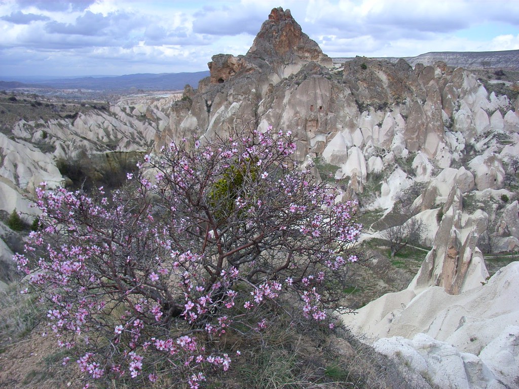 Spring in Cappadocia