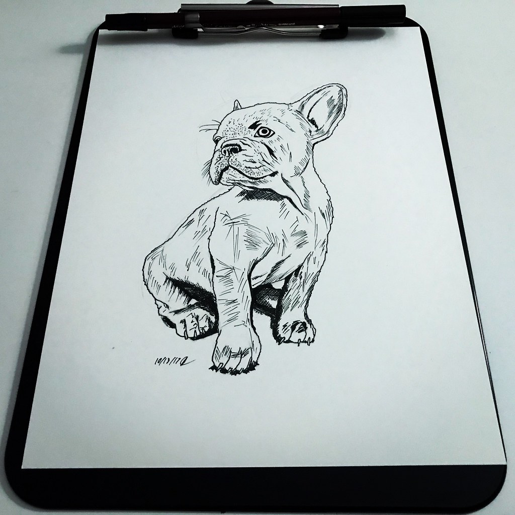 #inktober #inktober2017 #ink #inked #inking #drawn #drawing #draw #illustration #art #artwork #dog #puppy #pen #inktober #inktober2017 #ink #inked #inking #drawn #drawing #draw #illustration #art #artwork #dog #puppy #pen