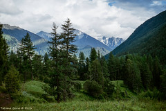Pegunungan Altai