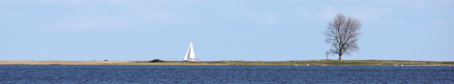 Erdsegler - sailing on land