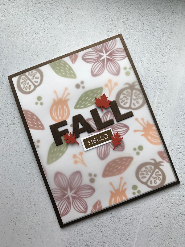 Fall-Hello_0469