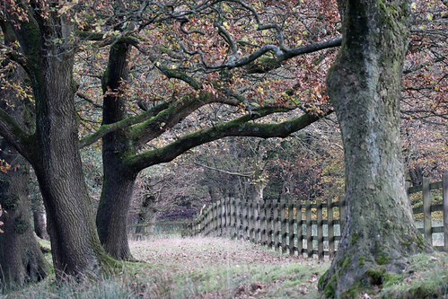 Lever park | by etriznova