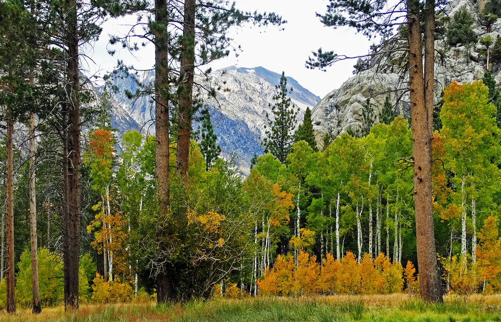 June Lake Loop Trail