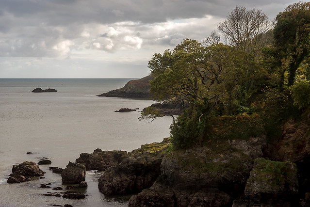 Autumnal Inlets at the Mouth of the River Dart