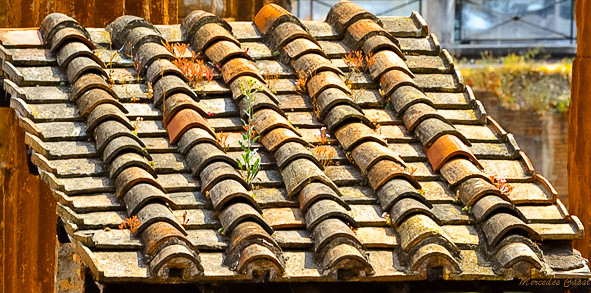 Roman Rafter Roman roof | Mercedes Casal | Flickr