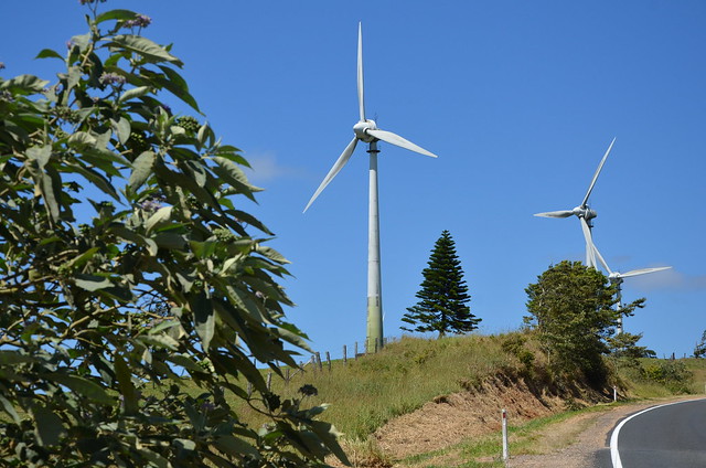 DSC_7785 Windy Hill Wind Farm nr Ravenshoe, Queensland