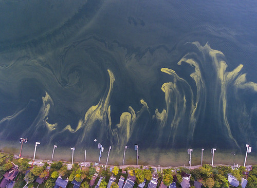pollution environment cyanobacteria toxin fingerlakes owasco savethelakes globalwarming dronephotography drone drones aerial photography bloom sad lake nature environmental
