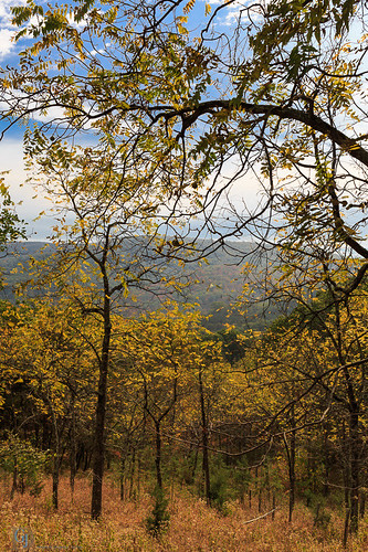 fallfoliage autumn trees nature cabins westvirginia unitedstates us