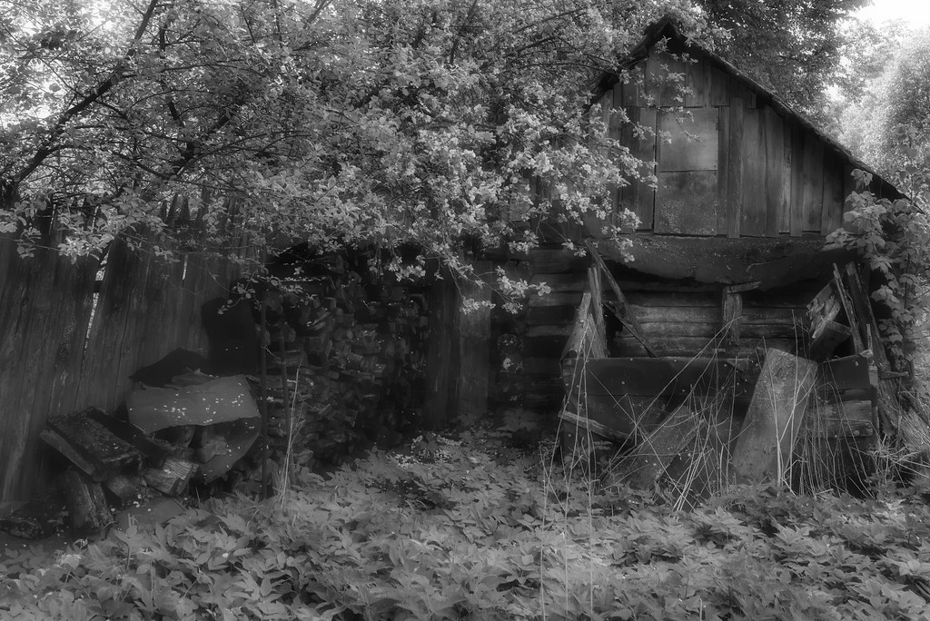 Забытый дом и сад