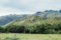 Green Hils, Antioquia Colombia