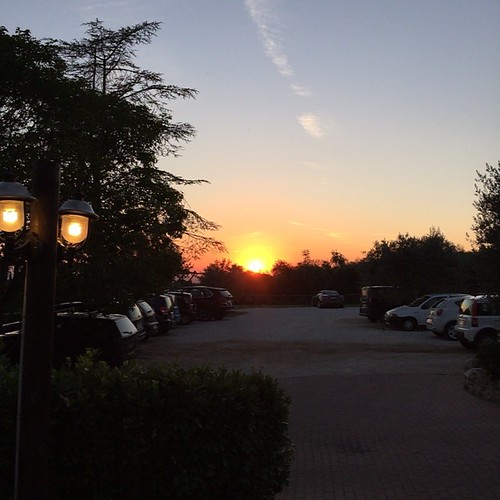 Palombara Sabina #nofilter #uliveto by chamito85, square squareformat iphoneography instagramapp uploaded:by=instagram