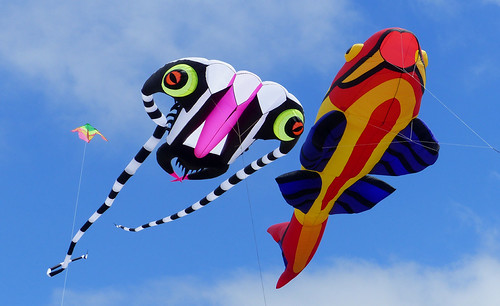 Kite Flying Day A Kite Is A Tethered Object With An Aerod Flickr kite-flying-day-a-kite-is-a-tethered-object-with-an-aerod-flickr